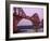 The Forth Rail Bridge, Firth of Forth, Edinburgh, Scotland;-Paul Harris-Framed Photographic Print