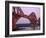 The Forth Rail Bridge, Firth of Forth, Edinburgh, Scotland;-Paul Harris-Framed Photographic Print