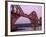 The Forth Rail Bridge, Firth of Forth, Edinburgh, Scotland;-Paul Harris-Framed Photographic Print