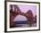 The Forth Rail Bridge, Firth of Forth, Edinburgh, Scotland;-Paul Harris-Framed Photographic Print