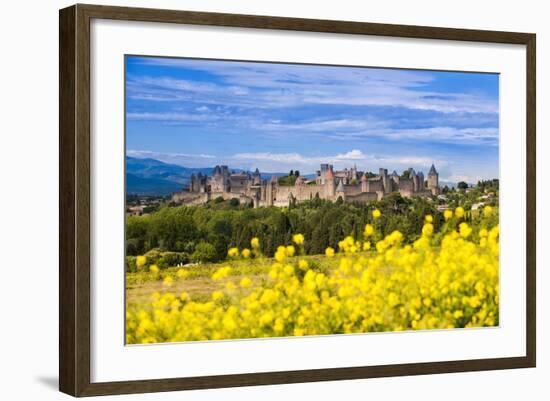 The Fortified City of Carcassonne, Languedoc-Roussillon, France-Nadia Isakova-Framed Photographic Print