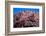 The Fortress of Quitor Pukara, Ayllu of Quitor, San Pedro de Atacama-Mallorie Ostrowitz-Framed Photographic Print