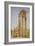 The Forum, Rome, 1875-Niels-anders Bredal-Framed Giclee Print