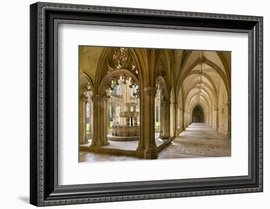 The fountain and water basin in the Claustro Real, royal cloister. Monastery of Batalha, Portugal-Martin Zwick-Framed Photographic Print