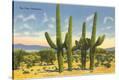Stretched Canvas Print