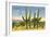 The Four Horsemen, Saguaro Cacti-null-Framed Premium Giclee Print
