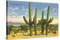 Stretched Canvas Print