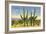The Four Horsemen, Saguaro Cacti-null-Framed Premium Giclee Print