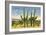 The Four Horsemen, Saguaro Cacti-null-Framed Premium Giclee Print