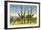 The Four Horsemen, Saguaro Cacti-null-Framed Premium Giclee Print