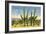 The Four Horsemen, Saguaro Cacti-null-Framed Premium Giclee Print