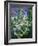 The Four Seasons: Spring, C.1919-Christopher Richard Wynne Nevinson-Framed Giclee Print