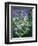 The Four Seasons: Spring, C.1919-Christopher Richard Wynne Nevinson-Framed Giclee Print