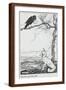 The Fox and the Crow, Illustration from 'Aesop's Fables', Published by Heinemann, 1912-Arthur Rackham-Framed Giclee Print