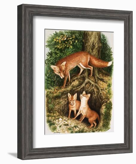 The Fox Family, Illustration from 'Once Upon a Time', 1971-John Chalkley-Framed Giclee Print