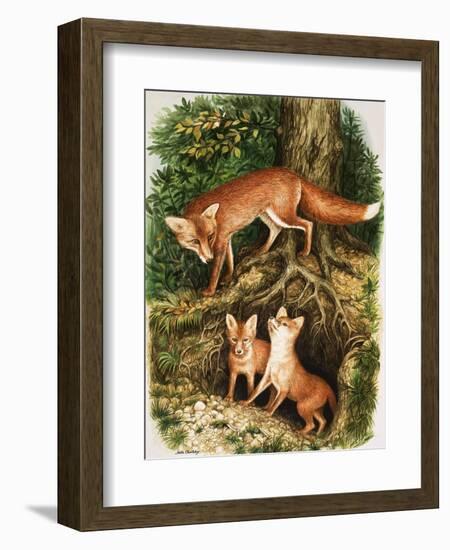 The Fox Family, Illustration from 'Once Upon a Time', 1971-John Chalkley-Framed Giclee Print