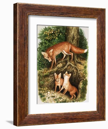 The Fox Family, Illustration from 'Once Upon a Time', 1971-John Chalkley-Framed Giclee Print