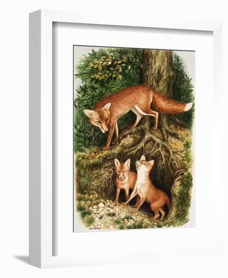 The Fox Family, Illustration from 'Once Upon a Time', 1971-John Chalkley-Framed Giclee Print