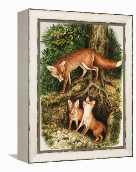 The Fox Family, Illustration from 'Once Upon a Time', 1971-John Chalkley-Framed Premier Image Canvas