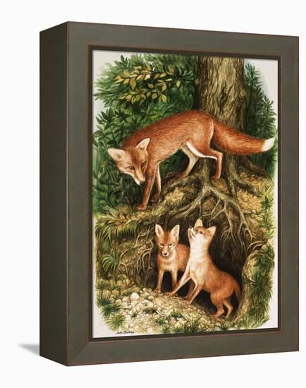 The Fox Family, Illustration from 'Once Upon a Time', 1971-John Chalkley-Framed Premier Image Canvas