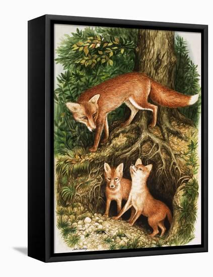 The Fox Family, Illustration from 'Once Upon a Time', 1971-John Chalkley-Framed Premier Image Canvas