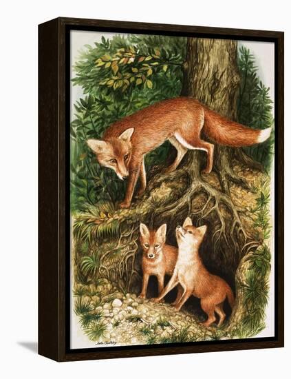 The Fox Family, Illustration from 'Once Upon a Time', 1971-John Chalkley-Framed Premier Image Canvas