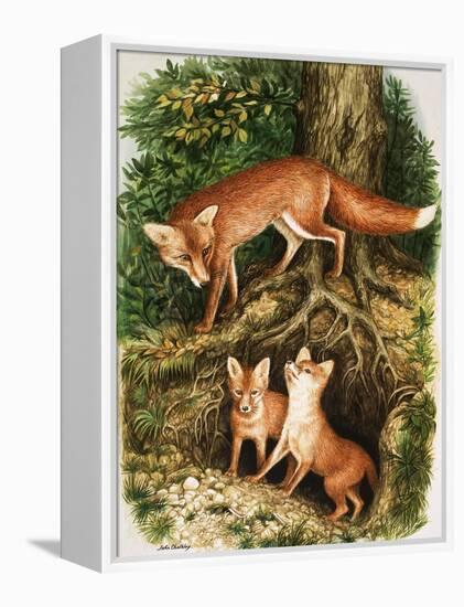 The Fox Family, Illustration from 'Once Upon a Time', 1971-John Chalkley-Framed Premier Image Canvas