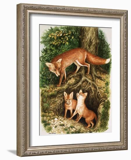 The Fox Family, Illustration from 'Once Upon a Time', 1971-John Chalkley-Framed Giclee Print