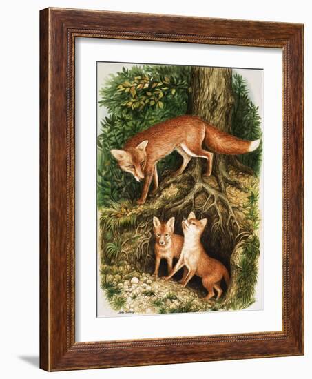 The Fox Family, Illustration from 'Once Upon a Time', 1971-John Chalkley-Framed Giclee Print