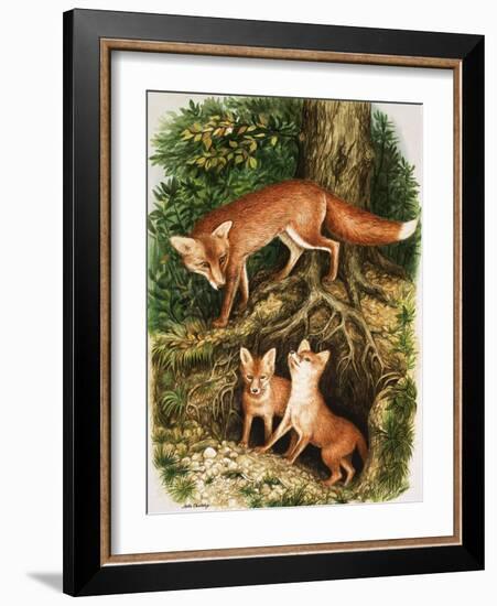 The Fox Family, Illustration from 'Once Upon a Time', 1971-John Chalkley-Framed Giclee Print