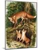 The Fox Family, Illustration from 'Once Upon a Time', 1971-John Chalkley-Mounted Giclee Print