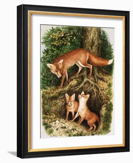 The Fox Family, Illustration from 'Once Upon a Time', 1971-John Chalkley-Framed Giclee Print