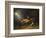 The Fox Hunter's Dream-William Holbrook Beard-Framed Giclee Print