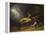 The Fox Hunter's Dream-William Holbrook Beard-Framed Premier Image Canvas