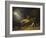 The Fox Hunter's Dream-William Holbrook Beard-Framed Giclee Print