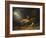 The Fox Hunter's Dream-William Holbrook Beard-Framed Giclee Print