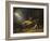 The Fox Hunter's Dream-William Holbrook Beard-Framed Giclee Print