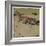 The Fox-Ludwig Hohlwein-Framed Photographic Print