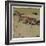 The Fox-Ludwig Hohlwein-Framed Photographic Print