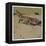 The Fox-Ludwig Hohlwein-Framed Premier Image Canvas