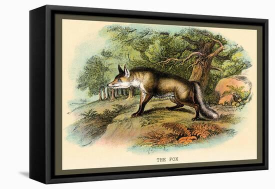 The Fox-Sir William Jardine-Framed Stretched Canvas