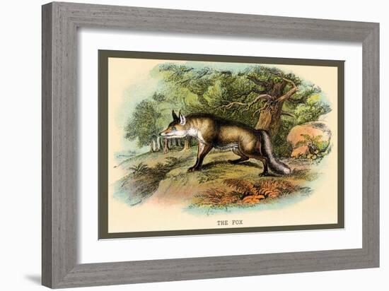 The Fox-Sir William Jardine-Framed Art Print