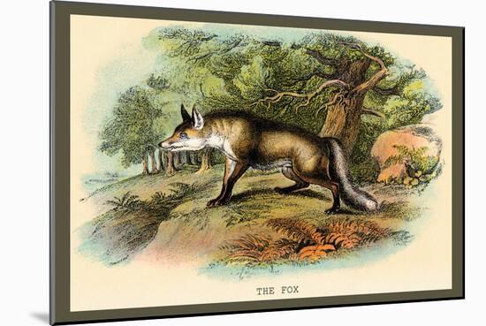 The Fox-Sir William Jardine-Mounted Art Print