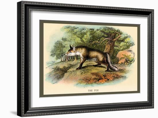 The Fox-Sir William Jardine-Framed Art Print