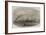 The French and Austrian Imperial Yachts Entering the Red Sea from the Suez Canal-null-Framed Giclee Print