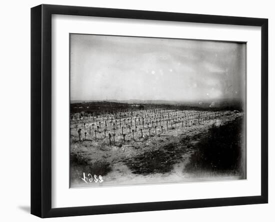 The French Cemetery at Plateau de Californie, Craonne, 1917-Jacques Moreau-Framed Photographic Print