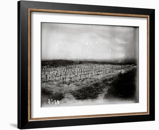 The French Cemetery at Plateau de Californie, Craonne, 1917-Jacques Moreau-Framed Photographic Print