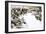 The French Invade Algeria-Angus Mcbride-Framed Premium Giclee Print