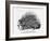 The French Porcupine, 1859-null-Framed Giclee Print