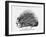 The French Porcupine, 1859-null-Framed Giclee Print